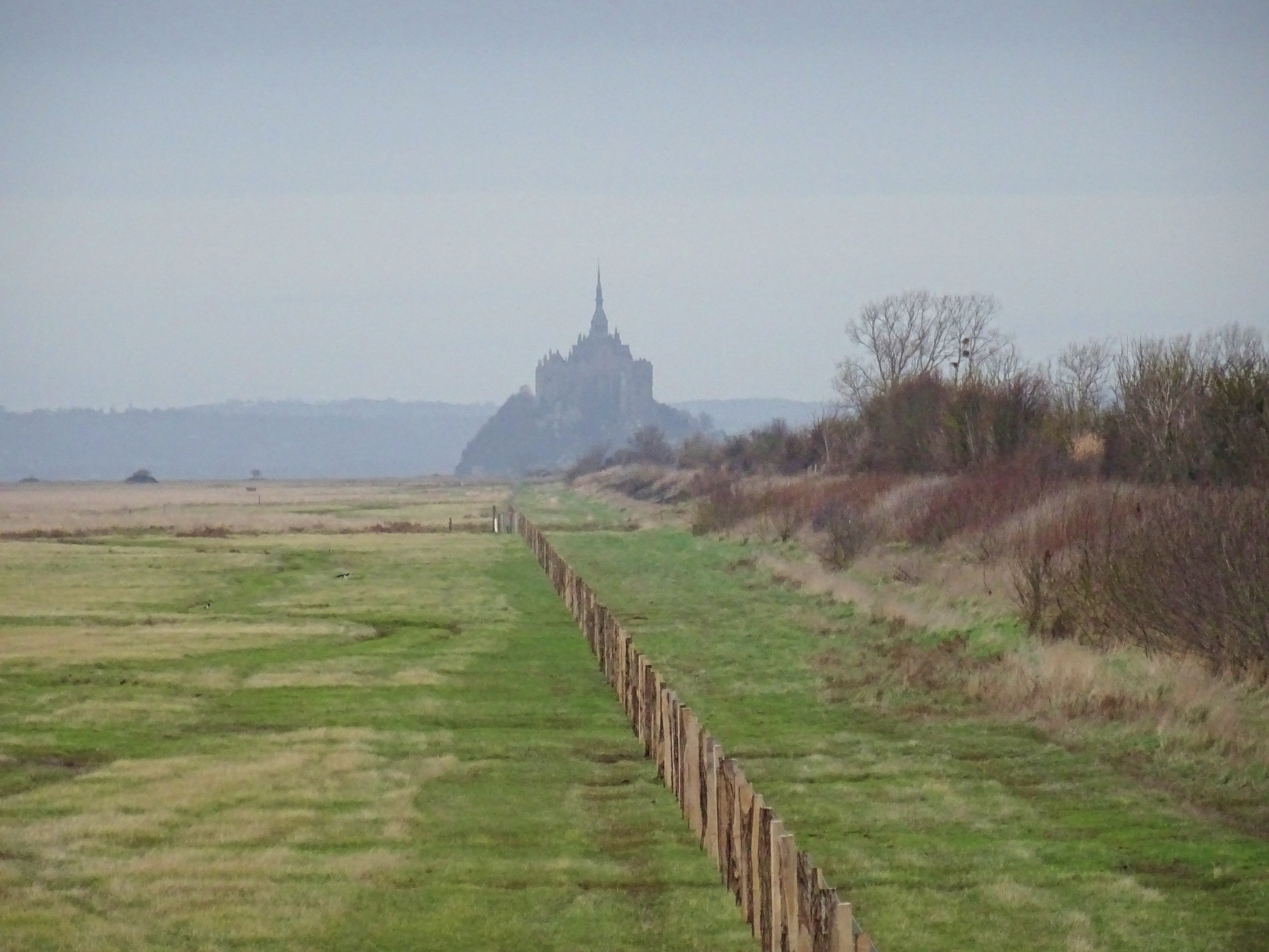 Le Mont-Saint-Michel et sa baie : agir pour le paysage, défendre le patrimoine